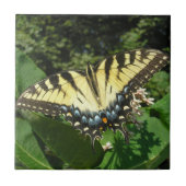 "Swallow Tail Butterfly" Tegeltje (Voorkant)