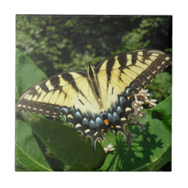 "Swallow Tail Butterfly" Tegeltje