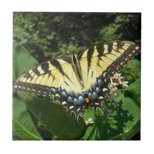 "Swallow Tail Butterfly" Tegeltje