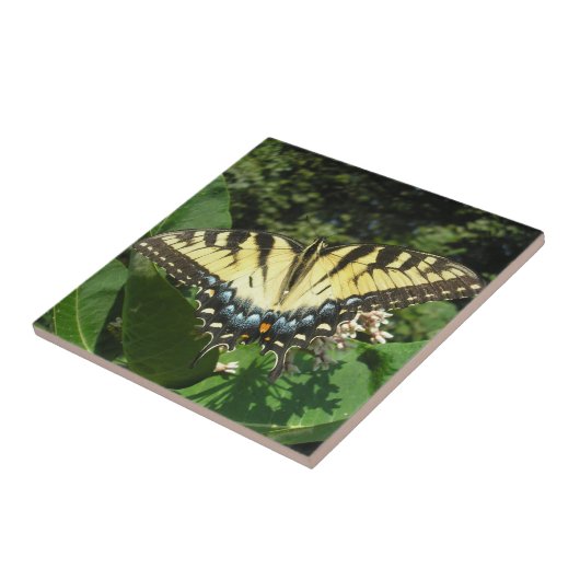 "Swallow Tail Butterfly" Tegeltje (Zijkant)