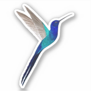 Swallow-tail Hummingbird Sticker