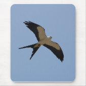Swallow Tail Kite Muismat (Voorkant)