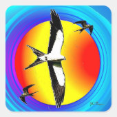 Swallow Tail Kite stickers (Voorkant)