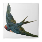 Swallow Tegeltje (Voorkant)