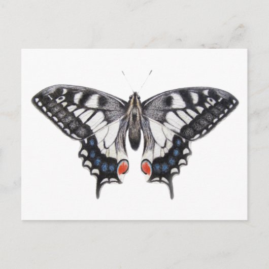 Swallowtail 2012 briefkaart (Voorkant)