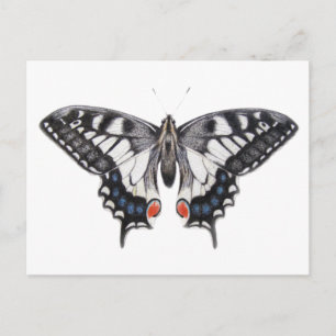 Swallowtail 2012 briefkaart