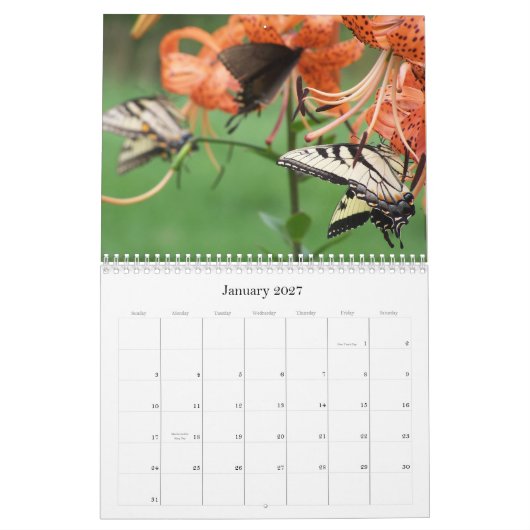 Swallowtail Butterflies, agenda 2009 Kalender (Jan 2027)