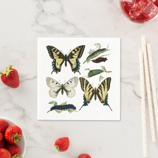 Swallowtail Butterflies, Caterpilars en Moth Servetten (Insitu)