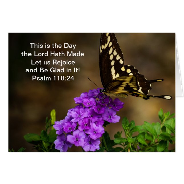 Swallowtail Butterfly (Voorkant Horizontaal)