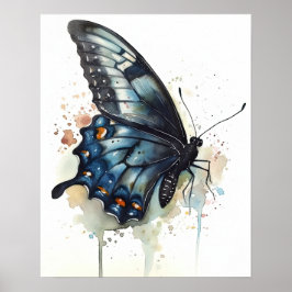 Swallowtail Butterfly Art Print Poster