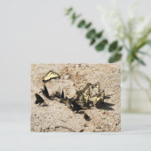 Swallowtail Butterfly Briefkaart (Staand voorkant)