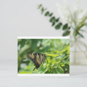 Swallowtail Butterfly Briefkaart (Staand voorkant)