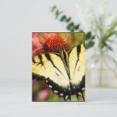 Swallowtail Butterfly Briefkaart (Staand voorkant)