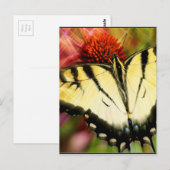 Swallowtail Butterfly Briefkaart (Voorkant / Achterkant)