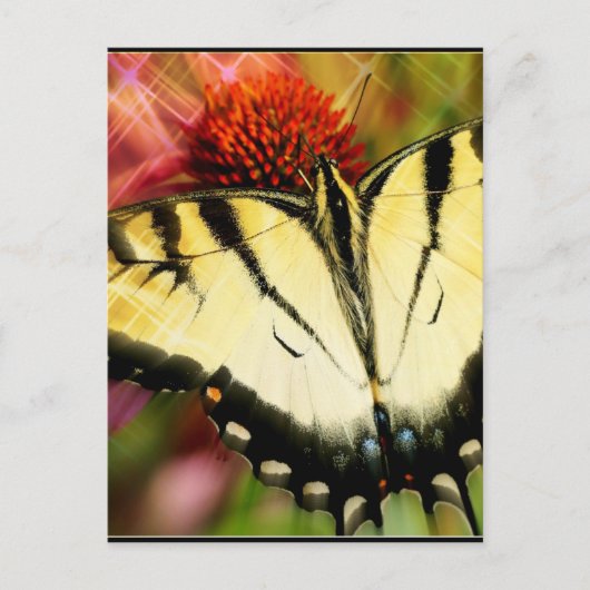 Swallowtail Butterfly Briefkaart (Voorkant)