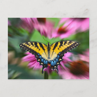 Swallowtail Butterfly Briefkaart