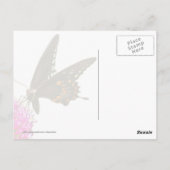 Swallowtail Butterfly Briefkaart (Achterkant)