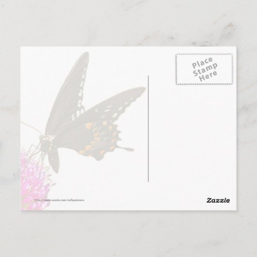Swallowtail Butterfly Briefkaart (Achterkant)