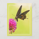 Swallowtail Butterfly Briefkaart (Voorkant)