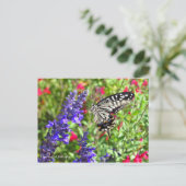 Swallowtail Butterfly [Briefkaart] Briefkaart (Staand voorkant)