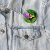 Swallowtail Butterfly Button 3 (In situ)