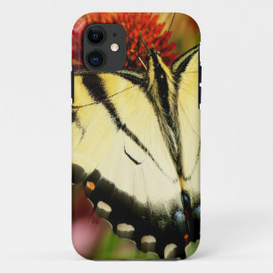 Swallowtail Butterfly iPhone 11 Hoesje