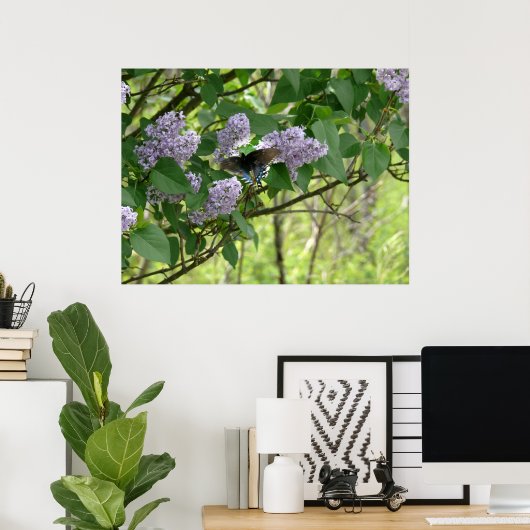 Swallowtail Butterfly en Lila Struik Poster (Thuiskantoor)