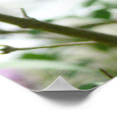 Swallowtail Butterfly en Lila Struik Poster (Hoek)