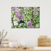Swallowtail Butterfly en Lila Struik Poster (Keuken)