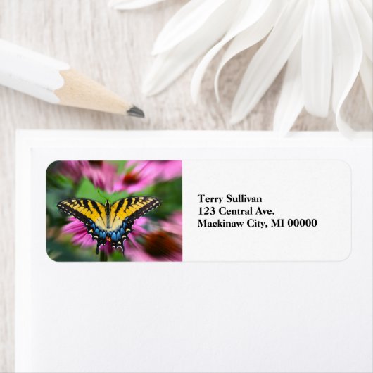 Swallowtail Butterfly Etiket (Insitu)