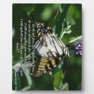 Swallowtail Butterfly Flower Bible Photo Plaque Fotoplaat