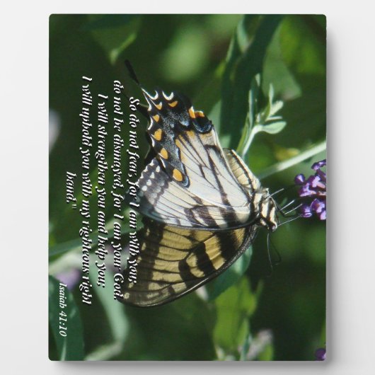 Swallowtail Butterfly Flower Bible Photo Plaque Fotoplaat (Voorkant)