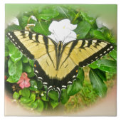 Swallowtail Butterfly - Flowers Tegeltje (Voorkant)