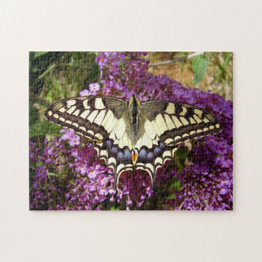Swallowtail Butterfly Foto Puzzle met Gift Box Legpuzzel (Horizontaal)