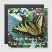 Swallowtail Butterfly I op Milkweed bij Shenandoah (Voorkant / Achterkant)