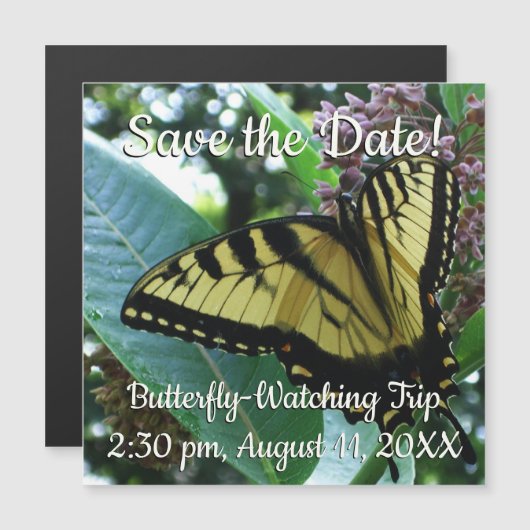 Swallowtail Butterfly I op Milkweed bij Shenandoah (Voorkant / Achterkant)