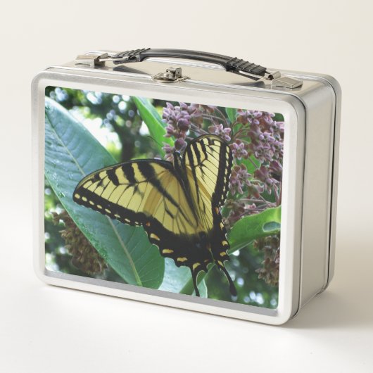 Swallowtail Butterfly I op Milkweed bij Shenandoah (Voorkant)