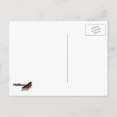 Swallowtail Butterfly I op Milkweed bij Shenandoah Briefkaart (Achterkant)