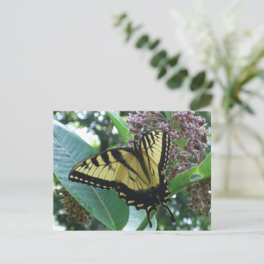 Swallowtail Butterfly I op Milkweed bij Shenandoah Briefkaart (Staand voorkant)
