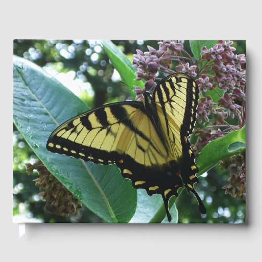 Swallowtail Butterfly I op Milkweed bij Shenandoah Gastenboek (Voorkant)