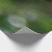 Swallowtail Butterfly I op Milkweed bij Shenandoah Houten Poster (Hoek)