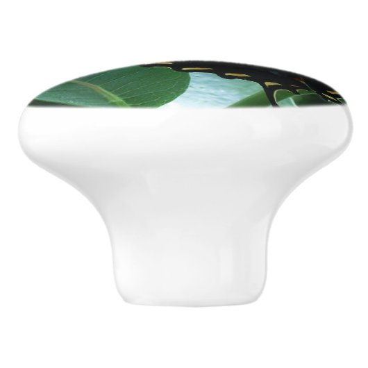 Swallowtail Butterfly I op Milkweed bij Shenandoah Keramische Knop (Zijkant)