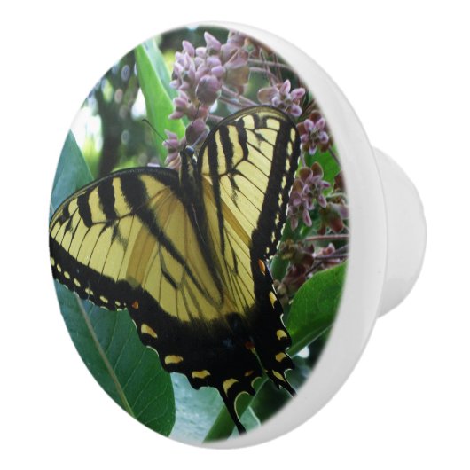 Swallowtail Butterfly I op Milkweed bij Shenandoah Keramische Knop (Rechts)