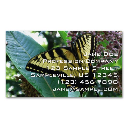 Swallowtail Butterfly I op Milkweed bij Shenandoah Magnetisch Visitekaartje (Voorkant)