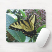 Swallowtail Butterfly I op Milkweed bij Shenandoah Muismat (Met muis)