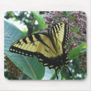 Swallowtail Butterfly I op Milkweed bij Shenandoah Muismat