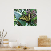 Swallowtail Butterfly I op Milkweed bij Shenandoah Poster (Keuken)