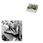 Swallowtail Butterfly I op Milkweed bij Shenandoah Rubberstempel (Gestempeld)