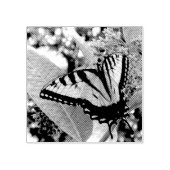 Swallowtail Butterfly I op Milkweed bij Shenandoah Rubberstempel (Afrduk)