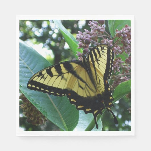Swallowtail Butterfly I op Milkweed bij Shenandoah Servetten (Voorkant)